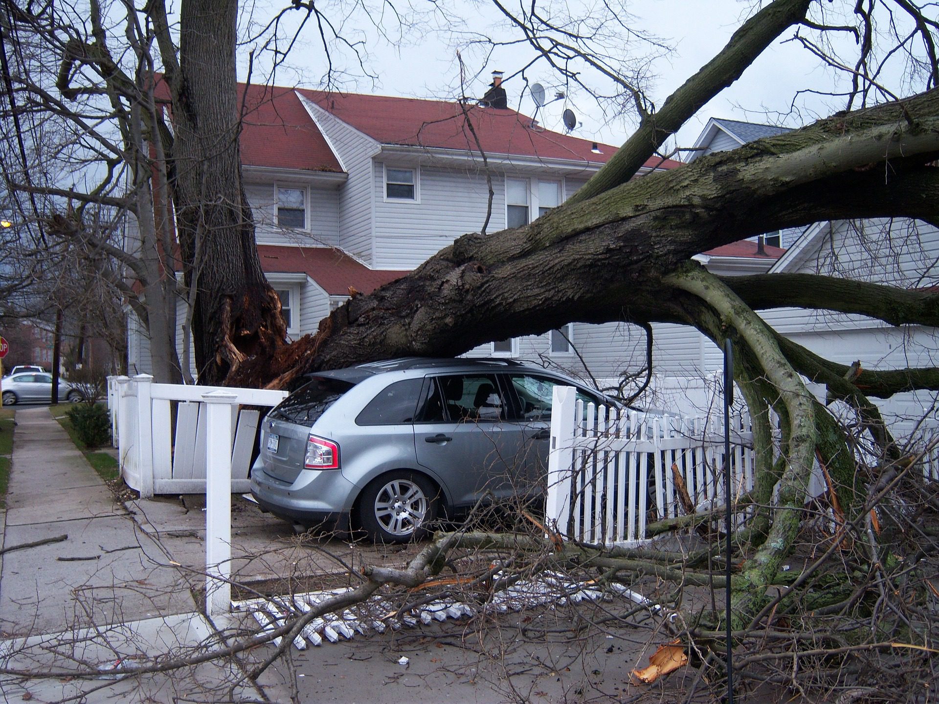 sherwood ar emergency tree service services